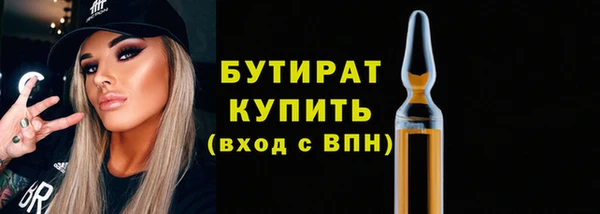 индика Елабуга