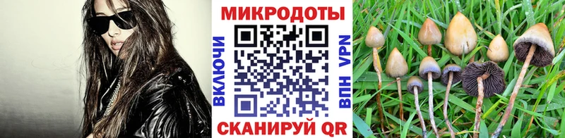 даркнет сайт Грайворон Галлюциногенные грибы мицелий